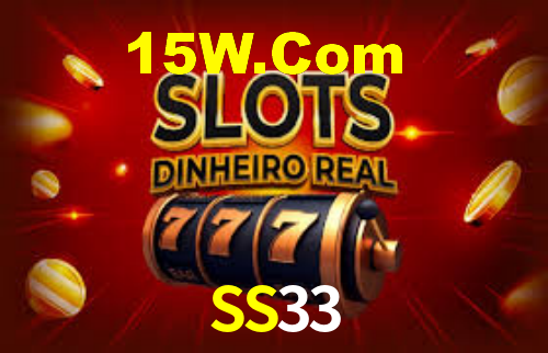 SS33 - Installation Guide